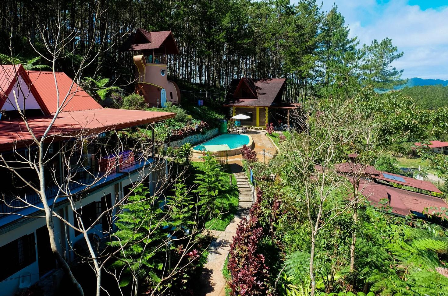 Tropical Garden